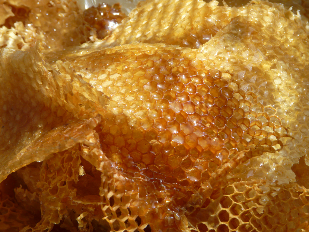 honey extraction